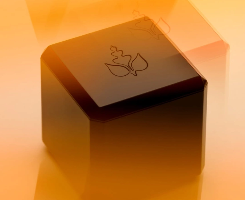 reminescence-banner-1