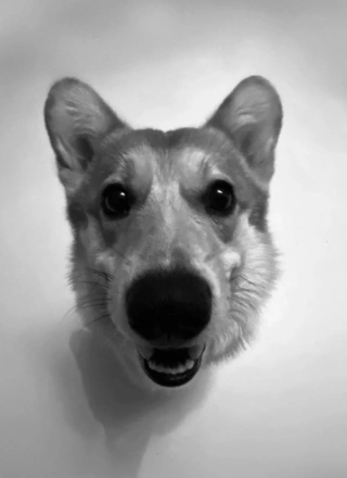 profile-shopy-4